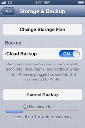 Screenshot - iCloud Backup on 3G